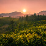 ആകർഷകമായ യാത്രാ കഥകൾ: വിദേശ ലക്ഷ്യസ്ഥാനങ്ങളിലൂടെയുള്ള യാത്ര