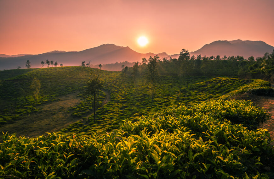 ആകർഷകമായ യാത്രാ കഥകൾ: വിദേശ…